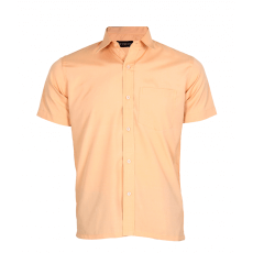 Solid light brown half sleeve shirt