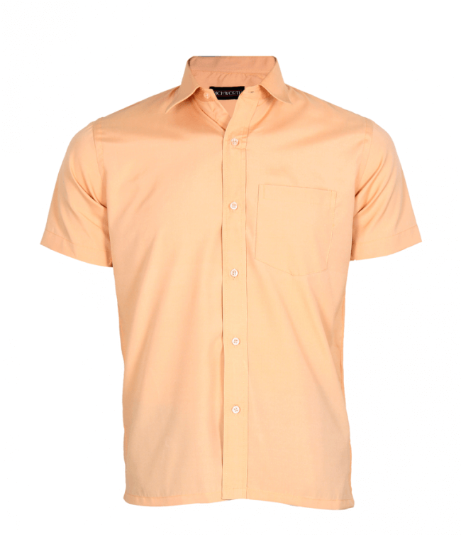 half sleeve plain shirts